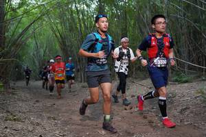 BIB: 13063, 3330
                            <button type="button" onclick="openModal(4102905)" class="btn btn-primary btn-sm float-right btn-popup" data-toggle="modal" data-target=".modal-high-quality">
                        <i class="fas fa-shopping-cart"></i> Add to Cart
                    </button>
                                            <button type="button" onclick="isThisMe(4102905, true)" class="btn btn-success btn-sm float-right btn-popup btn-isme hidden" data-toggle="tooltip" data-placement="bottom" title="นี่คือรูปของคุณใช่ไหม คลิกที่นี่เพื่อเอาเข้าอัลบั้ม">
                        <i class="fas fa-plus"></i> Add to album
                    </button>
                    <button type="button" onclick="isThisMe(4102905, false)" class="btn btn-warning btn-sm float-right btn-popup btn-isnotme hidden">
                        <i class="fas fa-ban"></i> Remove from album
                    </button>